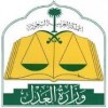 الدليل العربي-وزارة العدل