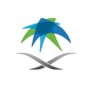 الدليل العربي-هيئة المدن و المناطق الاقتصادية الخاصة