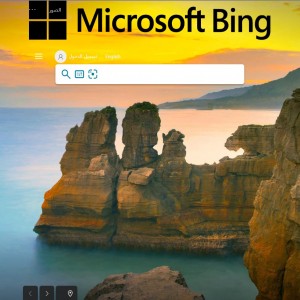 الدليل العربي-مواقع اخرى-يحث وادلة-bing بينق
