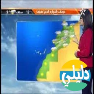 الدليل العربي-metomaroc