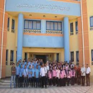 الدليل العربي-stem school