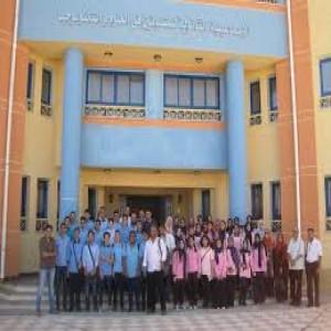 الدليل العربي-مواقع علمية-مدارس وتدريس-stem school