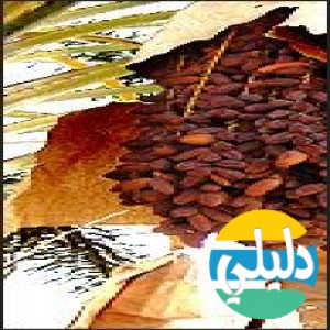 الدليل العربي-اكلات شهيه