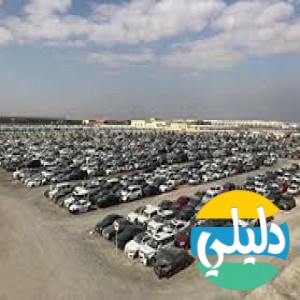الدليل العربي-الامارات للمزادات