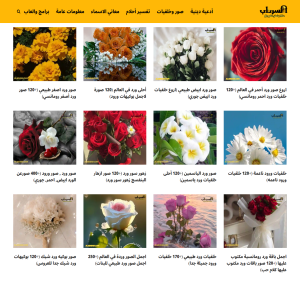 الدليل العربي-السرداب