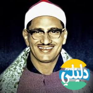 الدليل العربي-الشيخ محمد صديق المنشاوي