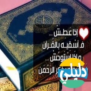 الدليل العربي-القران الكريم
