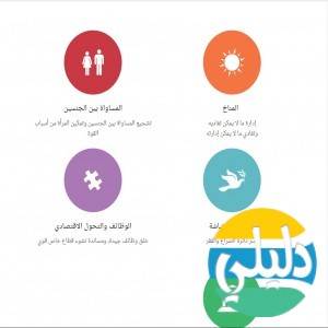 الدليل العربي-المؤسسة الدولية للتنمية