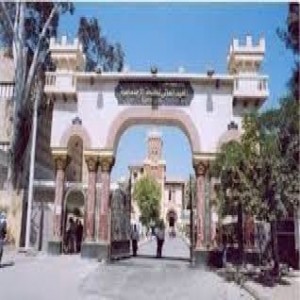 الدليل العربي-المعهد العالى للخدمة الاجتماعية