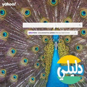 الدليل العربي-بحث ياهو