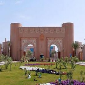 الدليل العربي-جامعه الملك فيصل