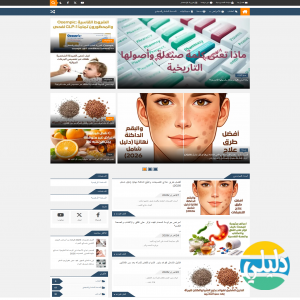 الدليل العربي-مدونة رفيف للمعرفة