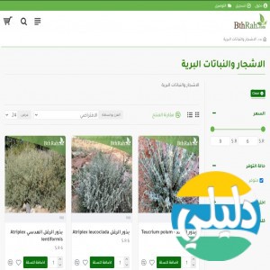 الدليل العربي-متجر بذرة