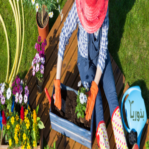 الدليل العربي-متجر بذوريا