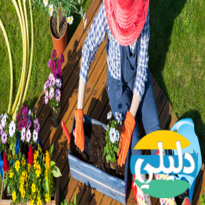 الدليل العربي-متجر بذوريا