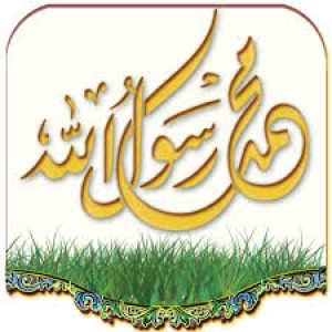 الدليل العربي-مواقع اسلامية-سيره نبوية-موقع السراج