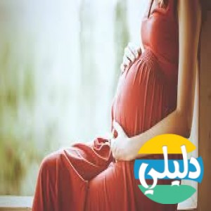 الدليل العربي-موقع حوامل