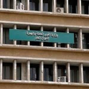 الدليل العربي-وزاره القوي العامله المصريه