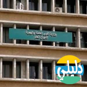 الدليل العربي-وزاره القوي العامله المصريه