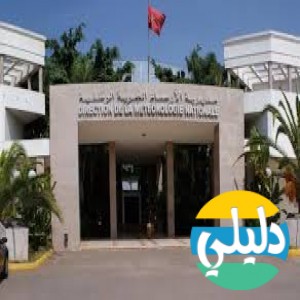 الدليل العربي-metomaroc