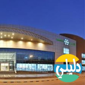 الدليل العربي-اراسكو فييد