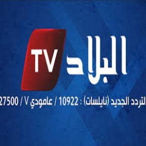 الدليل العربي-البلاد