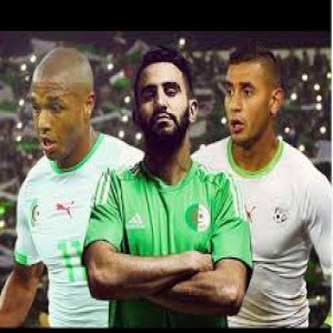 الدليل العربي-الخضره