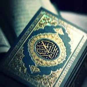 الدليل العربي-القران للجميع