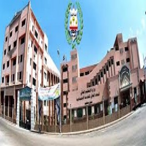 الدليل العربي-المعهد العالى للخدمة الاجتماعية