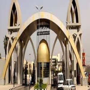 الدليل العربي-جامعه طنطا