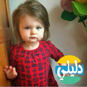 الدليل العربي-سكر نبات