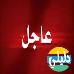 الدليل العربي-مصراوي