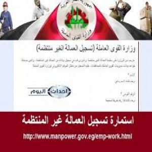 الدليل العربي-وزاره القوي العامله المصريه