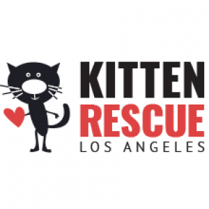 الدليل العربي-kitten rescue