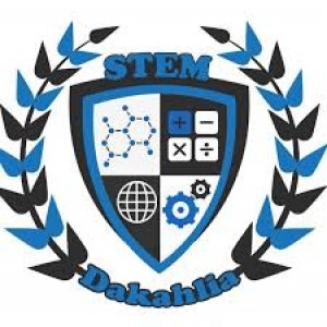 الدليل العربي-stem school