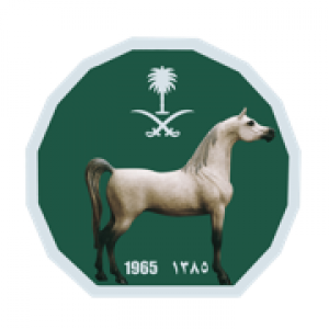 الدليل العربي-سكب نادي سباقات الخيل